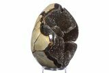 Septarian Dragon Egg Geode - Sparkly Black Crystals #383845-1